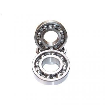 F-221321.1 Full Complement Cylindrical Roller Bearing 49.55*80*32mm